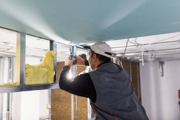 Best Types of Insulation in Shavano Park, TX