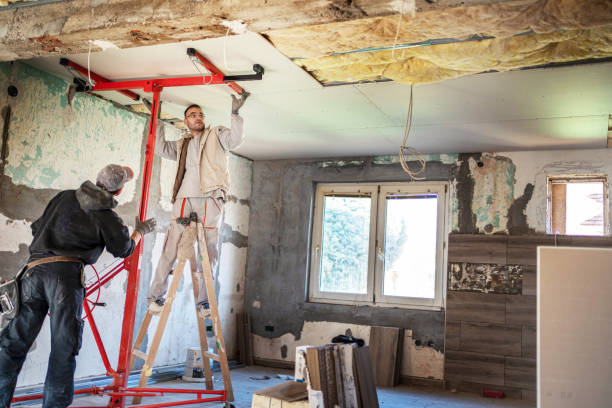 Best Insulation Installation Services in Shavano Park, TX