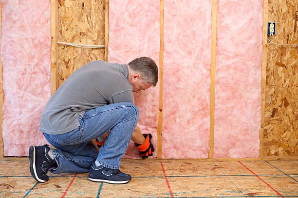 Best Residential Insulation in Shavano Park, TX