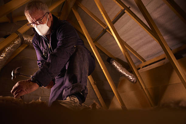 Best Commercial Insulation in Shavano Park, TX